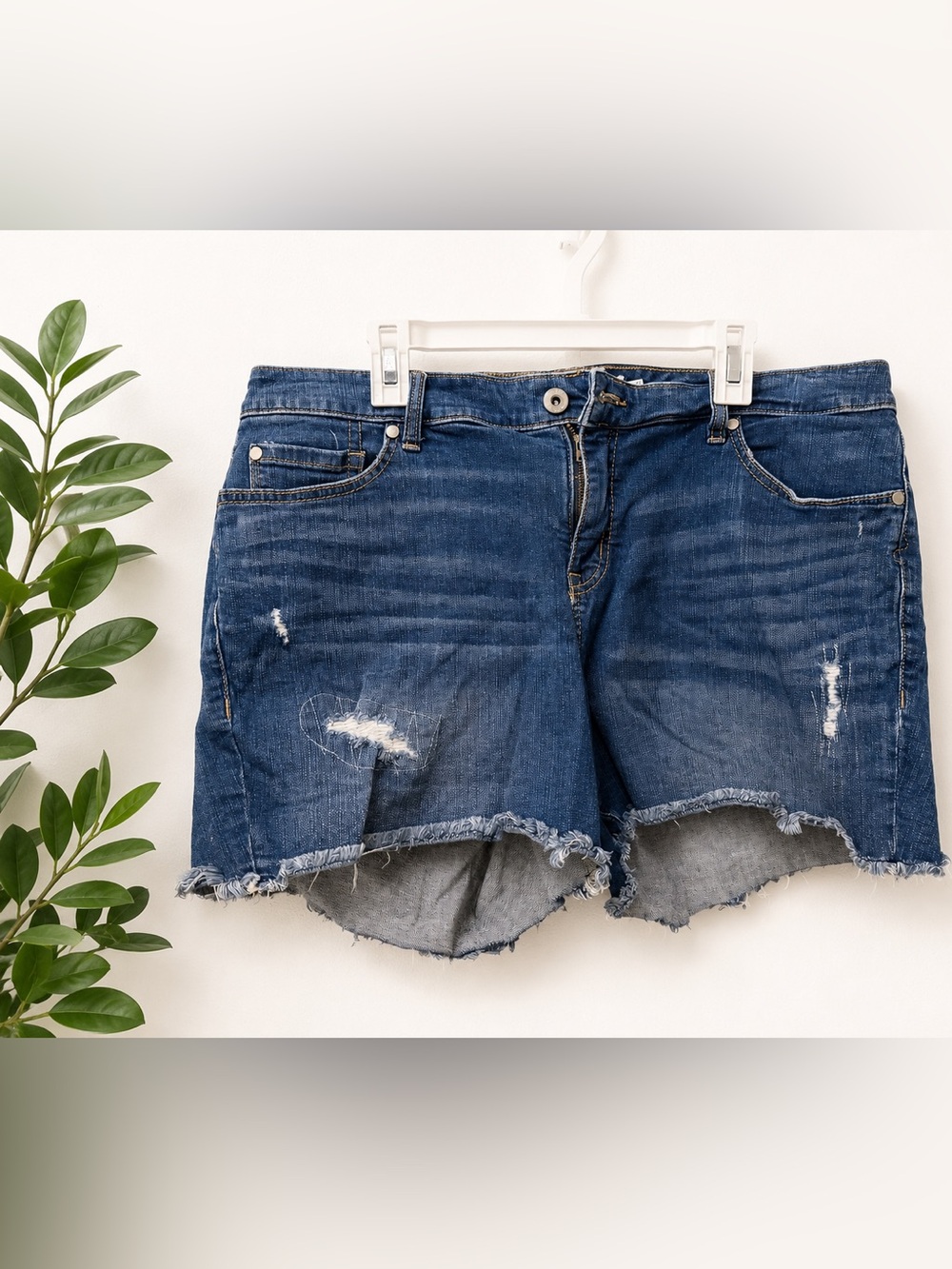 Torrid distressed jeans shorts with black flowy tank -